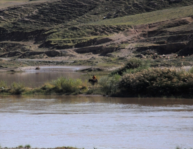 Dicle Nehri'ndeki adacıkta 10 gündür mahsur kalan eşek kurtarıldı